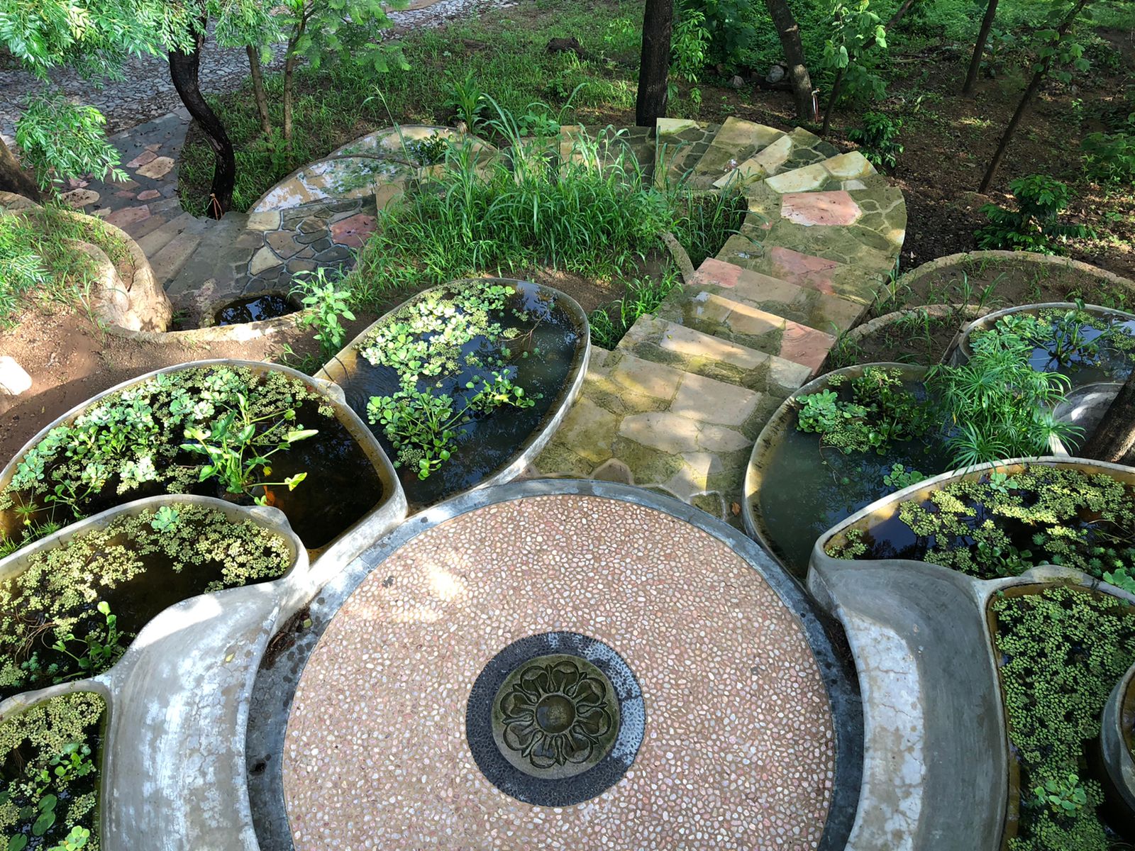 Peaceful water garden at Paññābhūmi Buddhist Temple - Meditation monastery Mexico